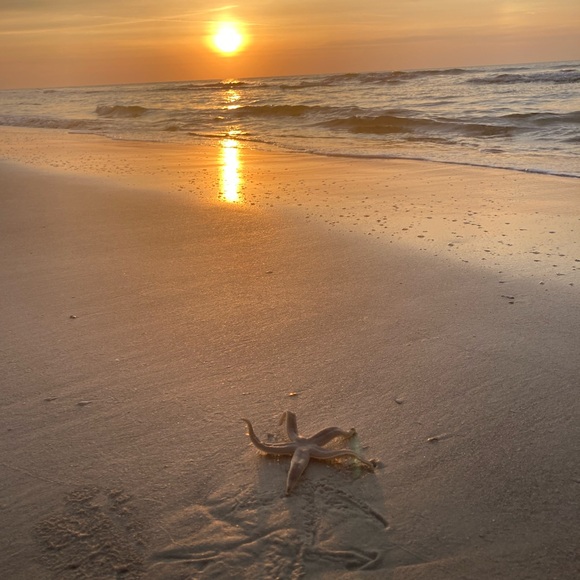 Meet your posher, Christine - Picture 10 of 10